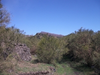 anobello-01042012 095